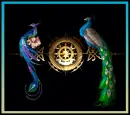 Peacocks.
