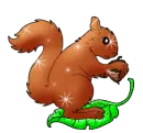 Squirrel