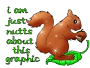 I Am Just Nutts About This Graphic