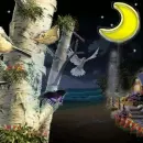 night