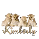 lion cubs with the name kimberly