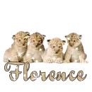 lion cubs with the name florence