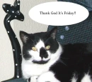 TGIF