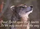 wolf