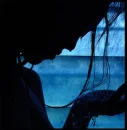 tear 