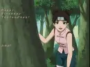 Happy birthday Tenten!