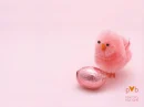 chick