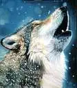 wolf