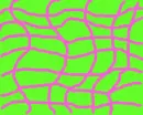 Sweet hot pink and green