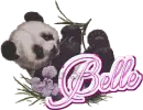 Belle Panda