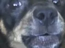grrrrrrrrrrrrrr