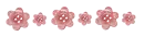 Pink flowers