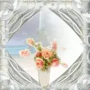 window
