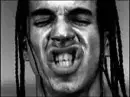 kiedis