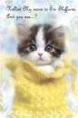 Sir Fluffums