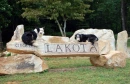 lakota