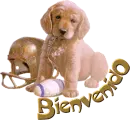 Bienvenido