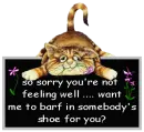 Sorry Your Not Feeling Well