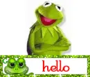 Hello