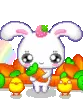 Little Cute Bunny