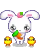 Bunny Crying