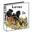 Book Evelyn loves it