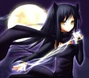 Midnight Cat