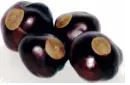 BUCKEYES