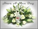 have a nice day