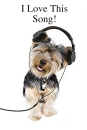 CUTE DOG