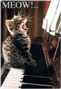 Meow Mix