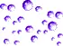 PURPLE BUBBLES