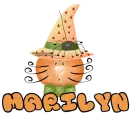 NAME MARILYN/HALLOWEEN ORANGE CAT