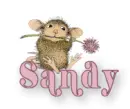 Sandy