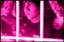 pete wentz