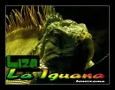 LIZA THE IGUANA