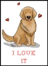 I Love it Golden Retriever!