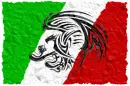 MEXICAN FLAG