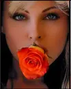 ROSE 4 ROSE