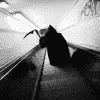 grim