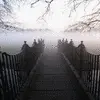 foggy