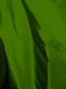 SilkSheetsOliveGreen