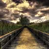 bridge
