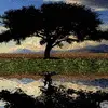 reflection