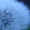 close your eyes