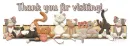 cat border