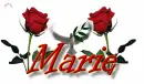 Dove -- for Marie