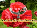 Thank You For Your Friendship