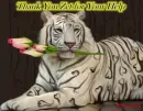 Thank You for Your Help 