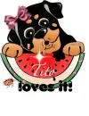 Doggy and watermelon-Tito